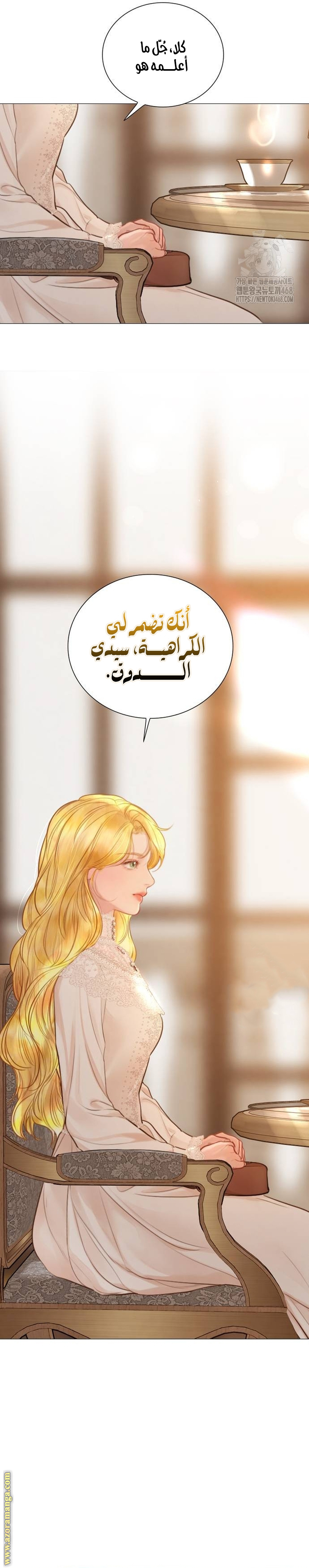 الصفحة 24