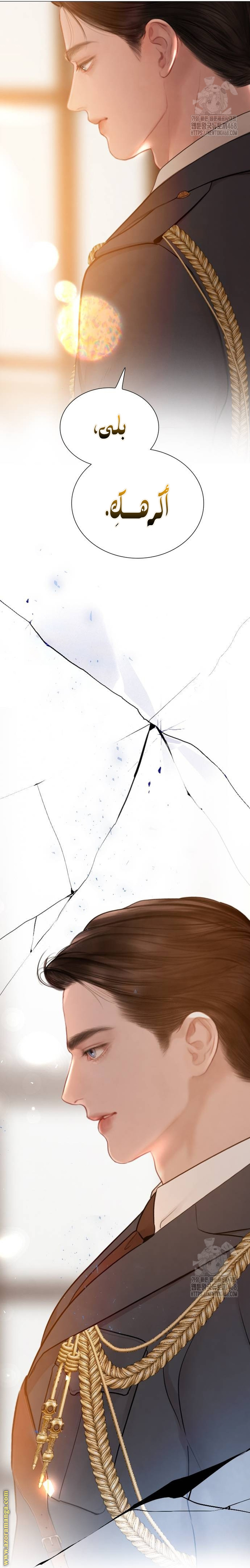 الصفحة 25