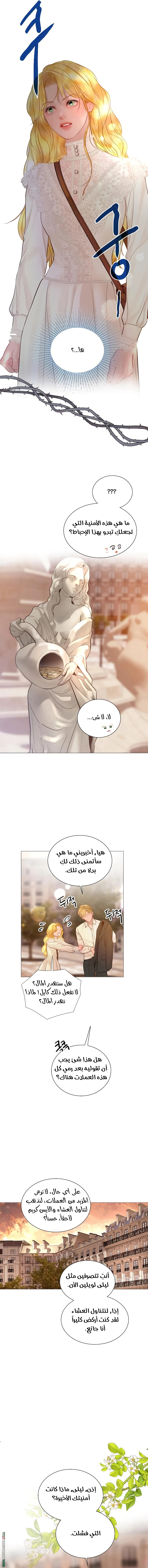 الصفحة 17