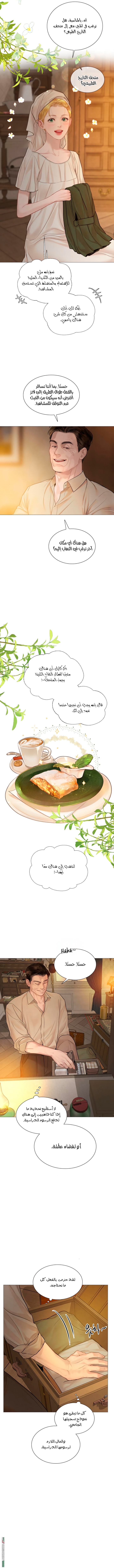 الصفحة 11