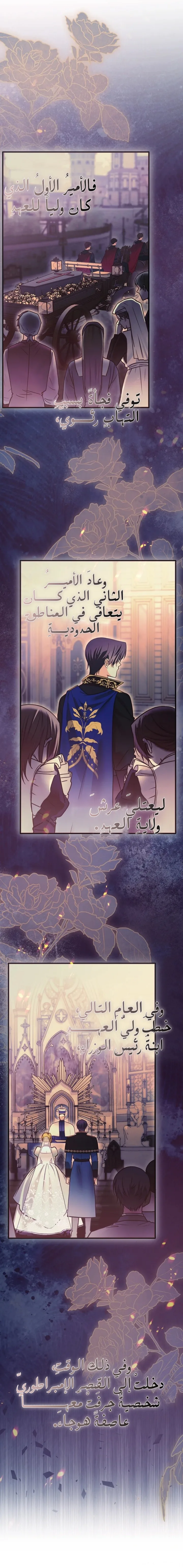 الصفحة 14