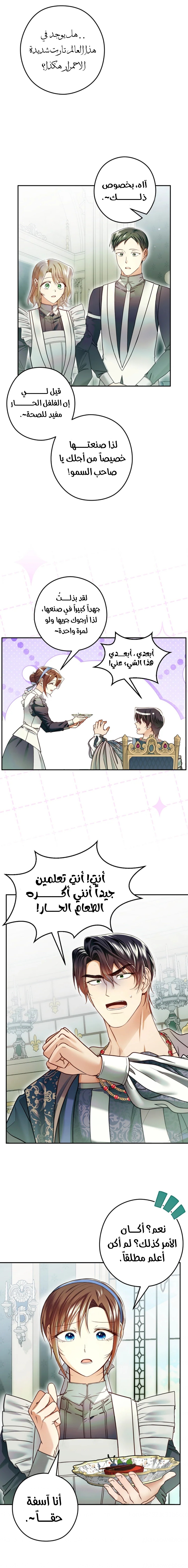 الصفحة 13