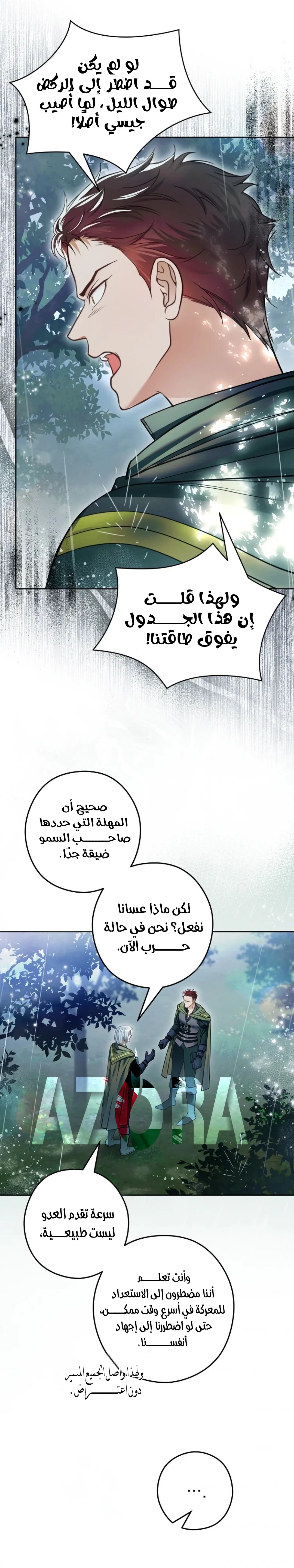 الصفحة 13