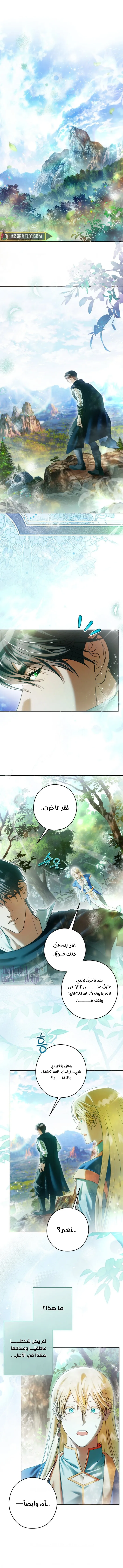 الصفحة 17