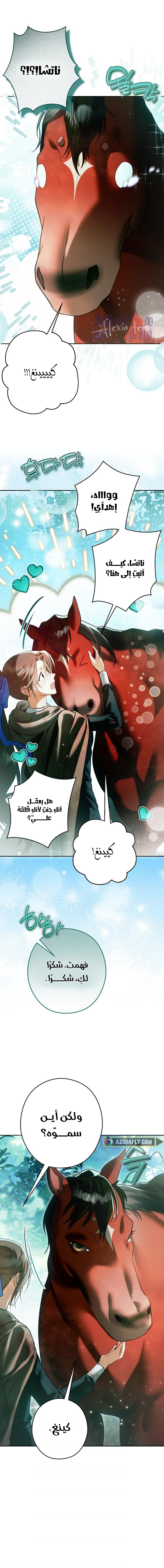 الصفحة 12