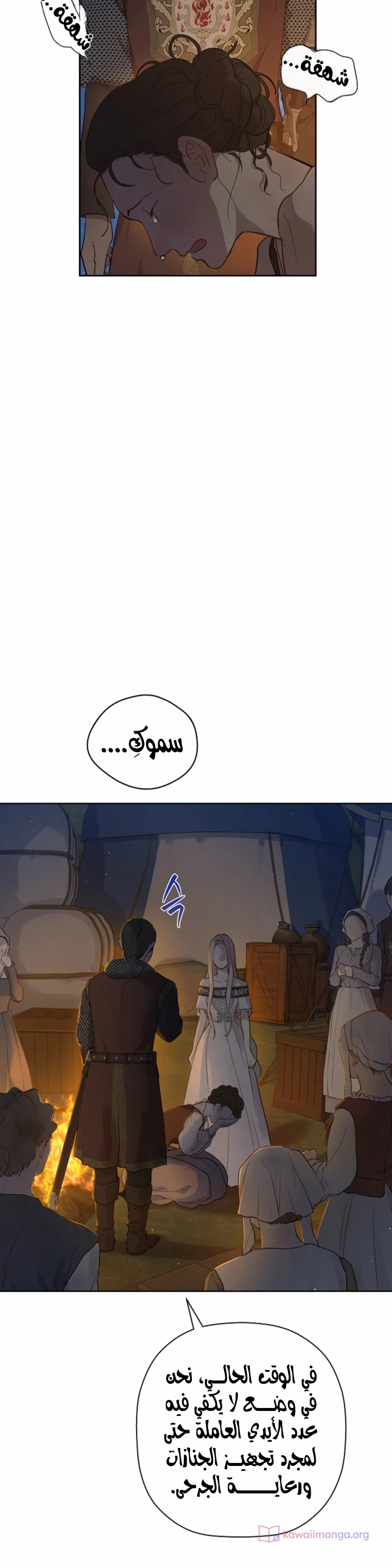 الصفحة 11