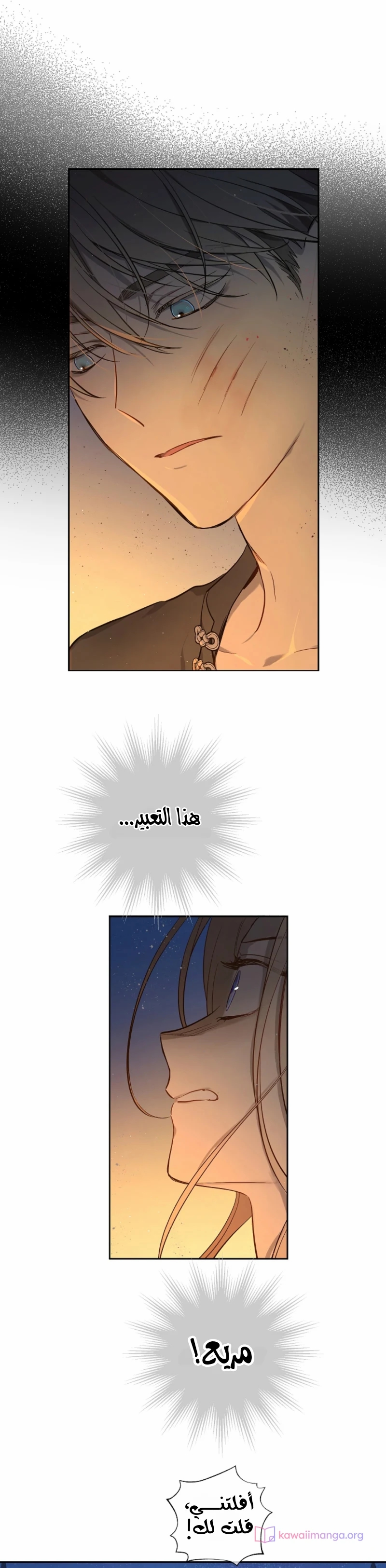 الصفحة 31