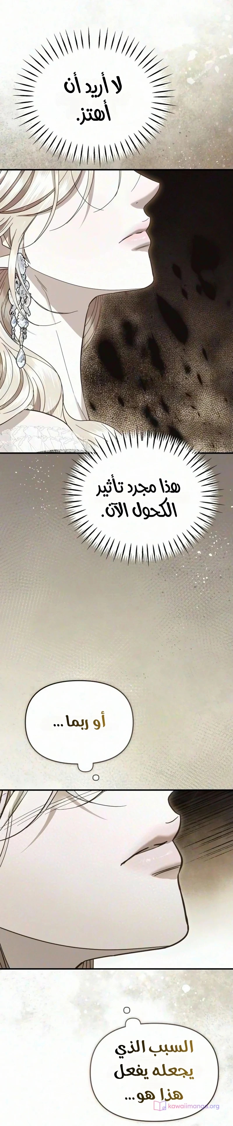 الصفحة 25