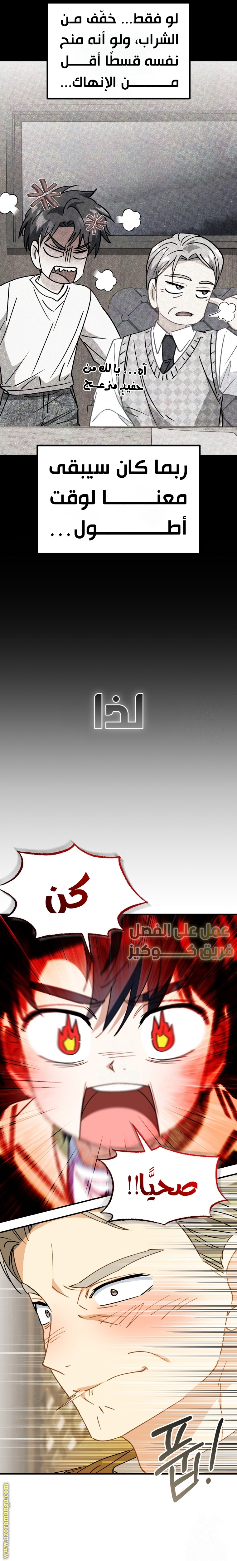 الصفحة 31