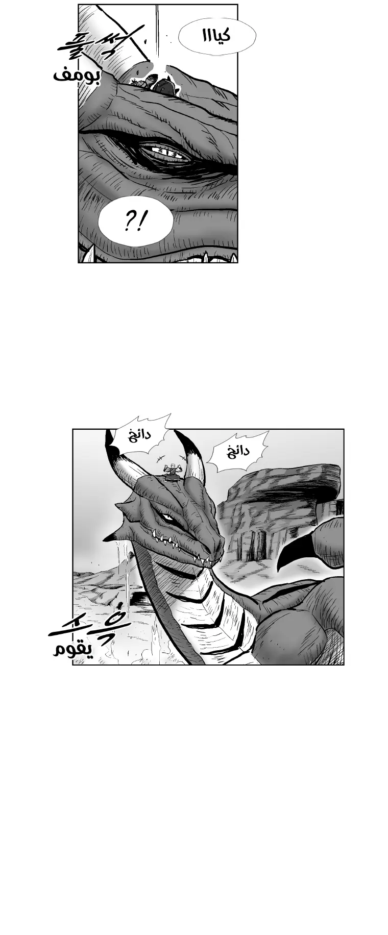 الصفحة 13