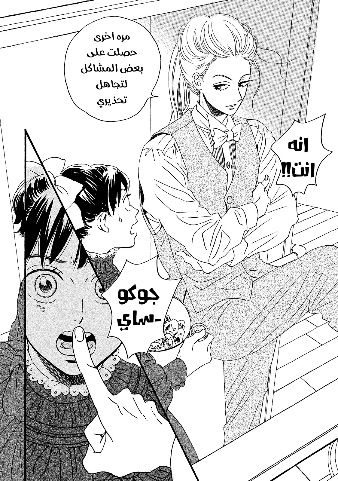 الصفحة 13
