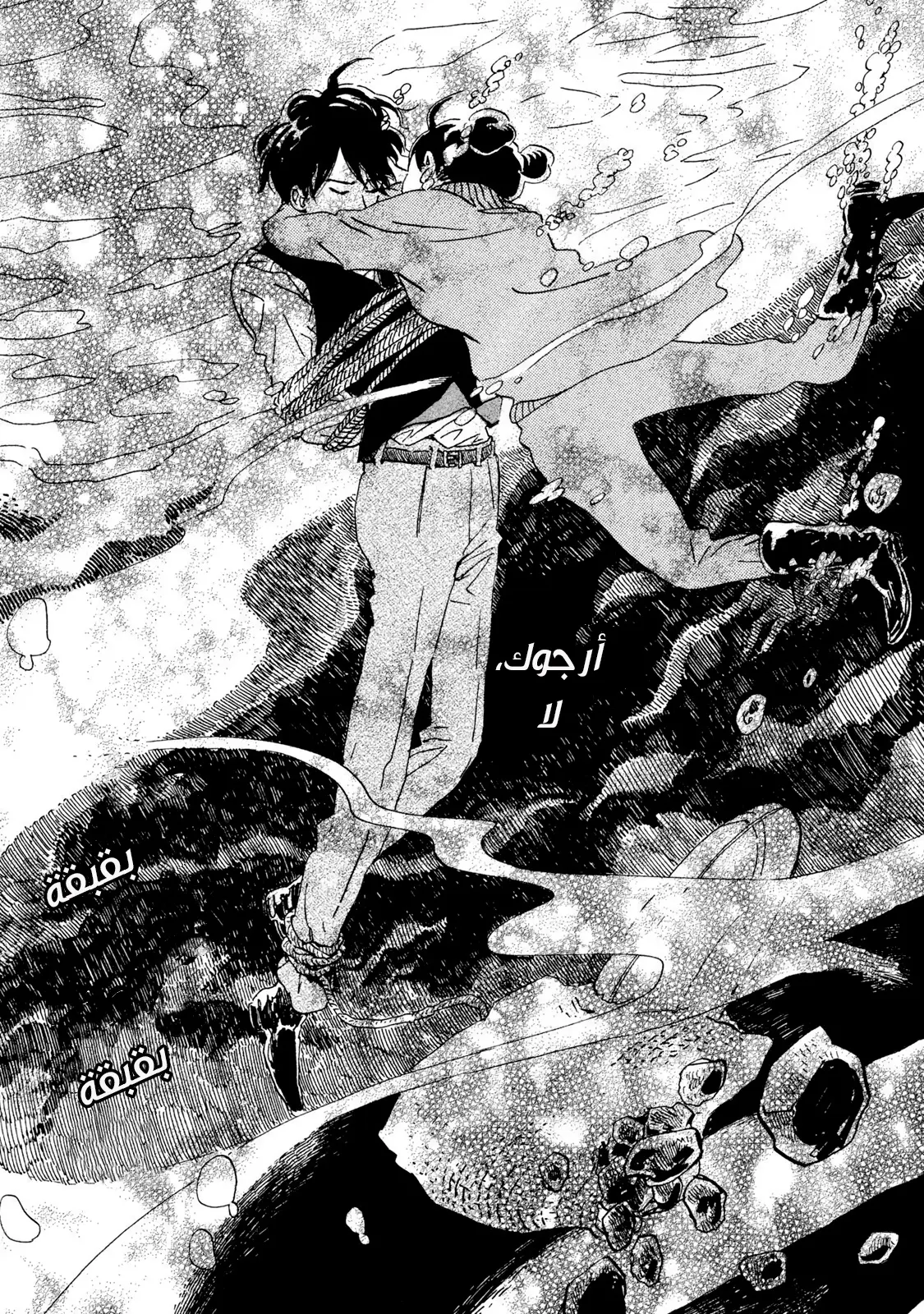 الصفحة 17
