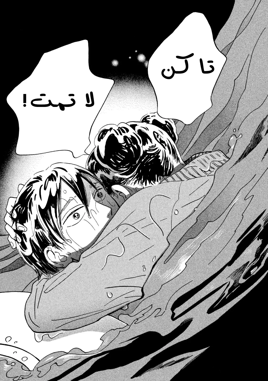 الصفحة 19