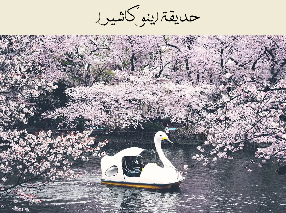 الصفحة 38