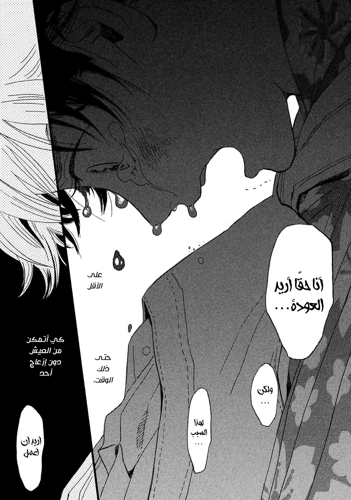 الصفحة 14