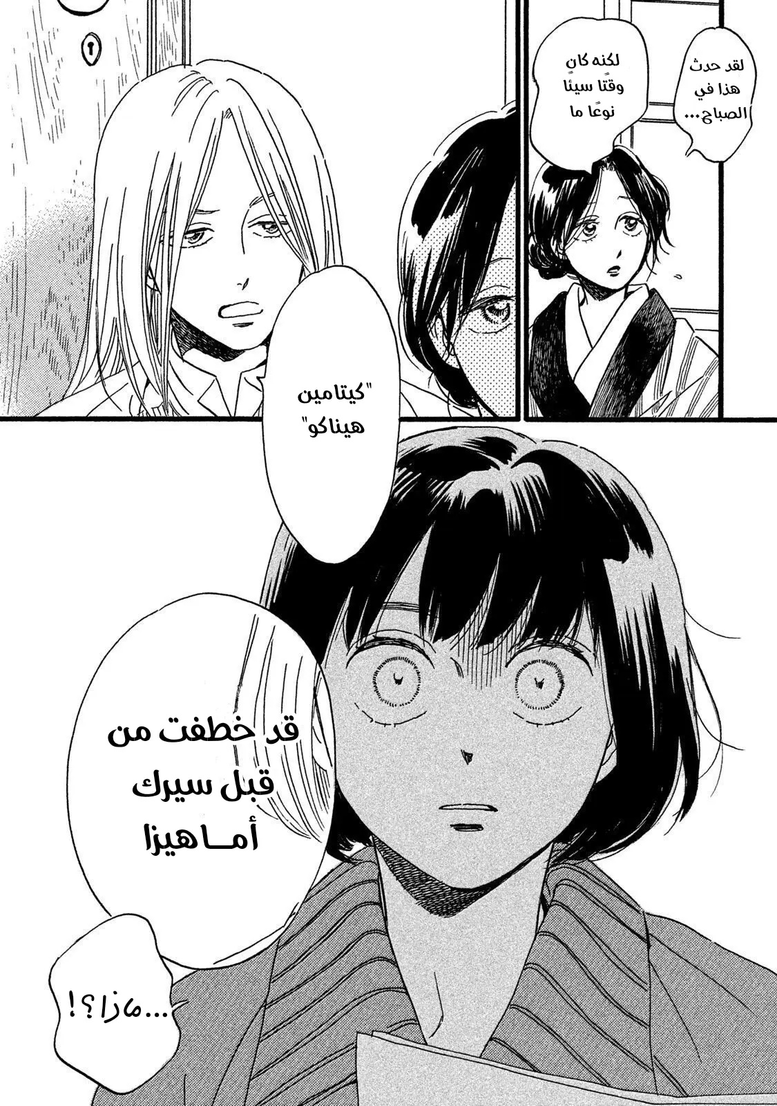 الصفحة 17