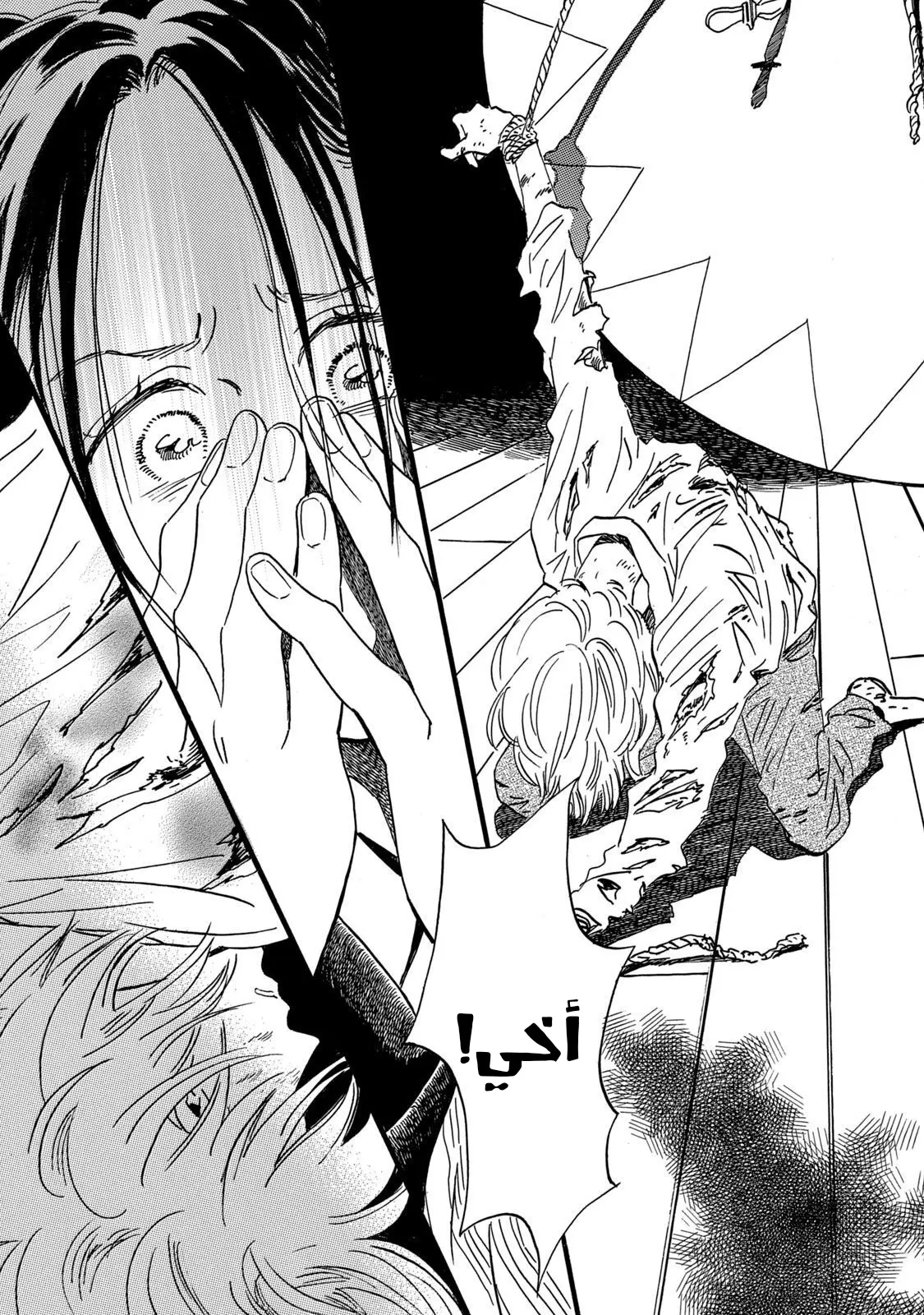 الصفحة 5