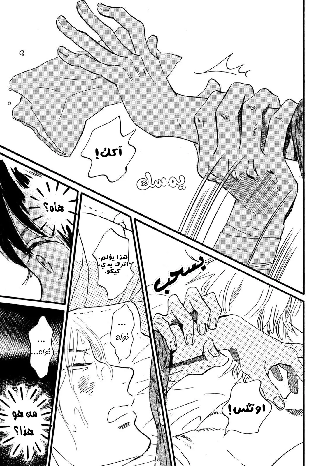 الصفحة 29
