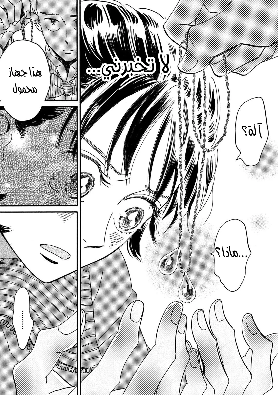 الصفحة 27