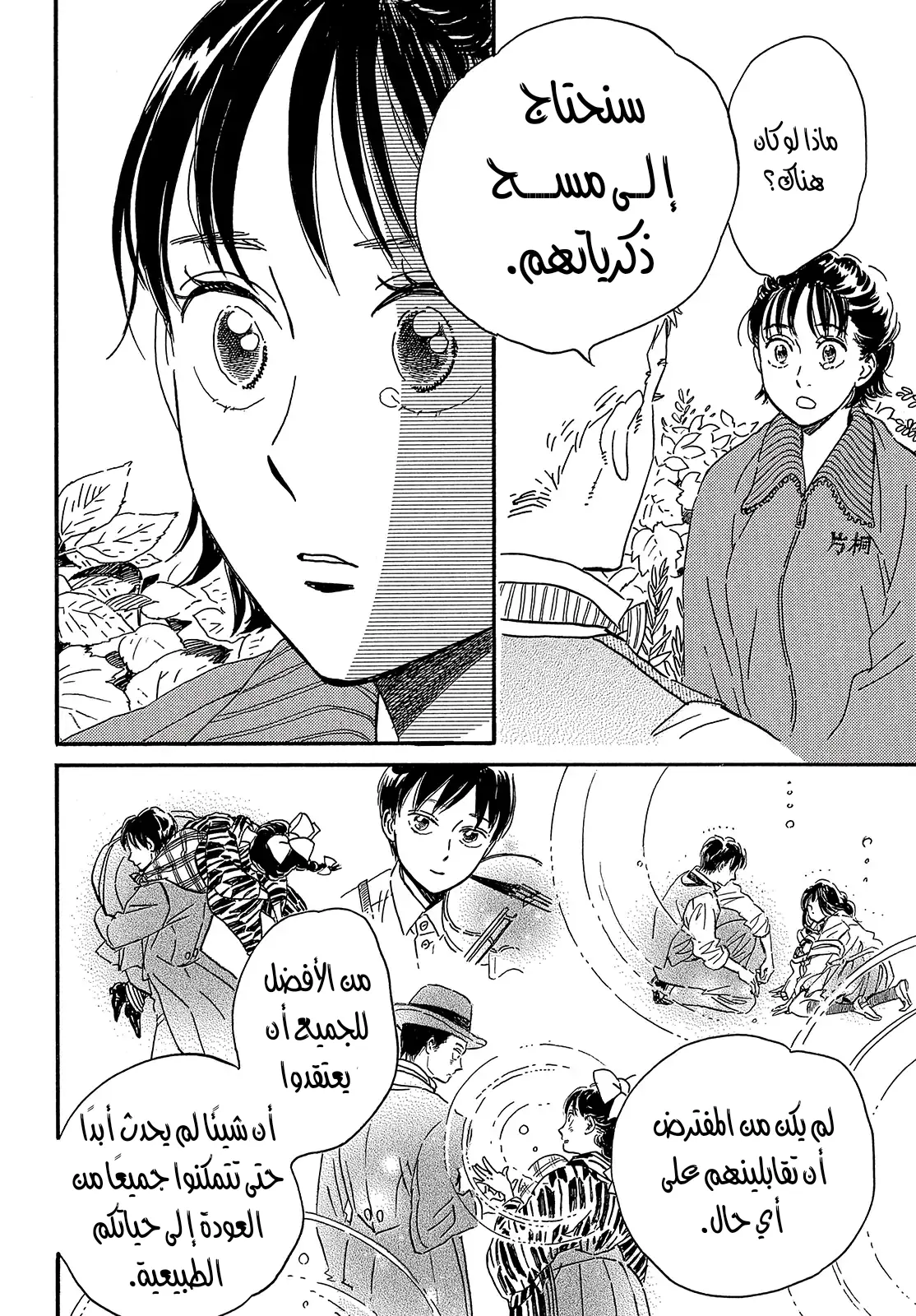 الصفحة 12