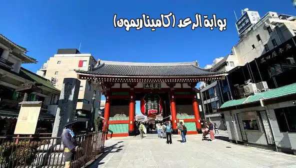 الصفحة 29