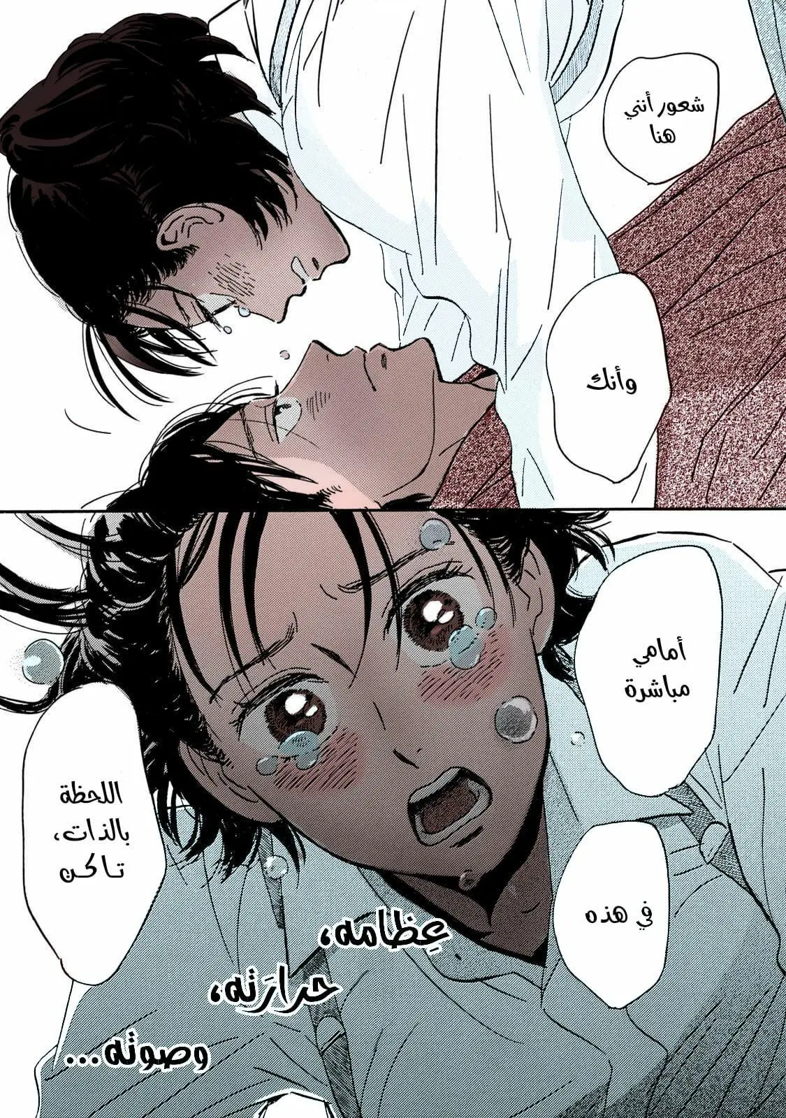 الصفحة 31