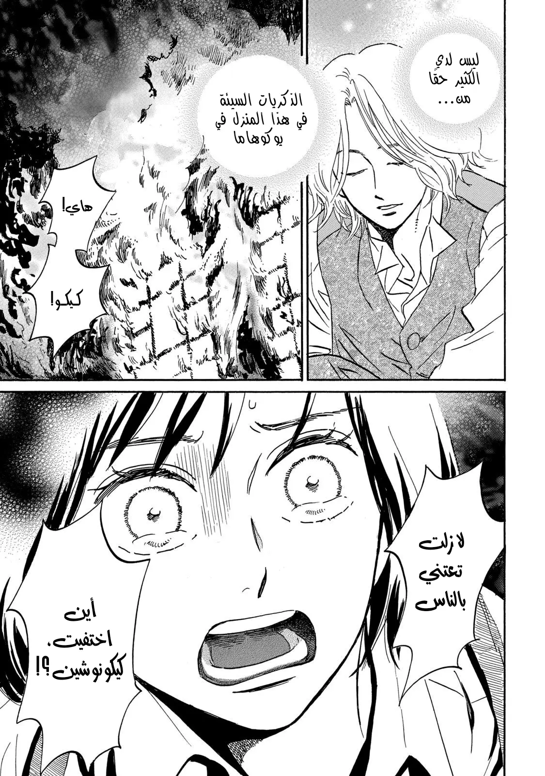 الصفحة 13