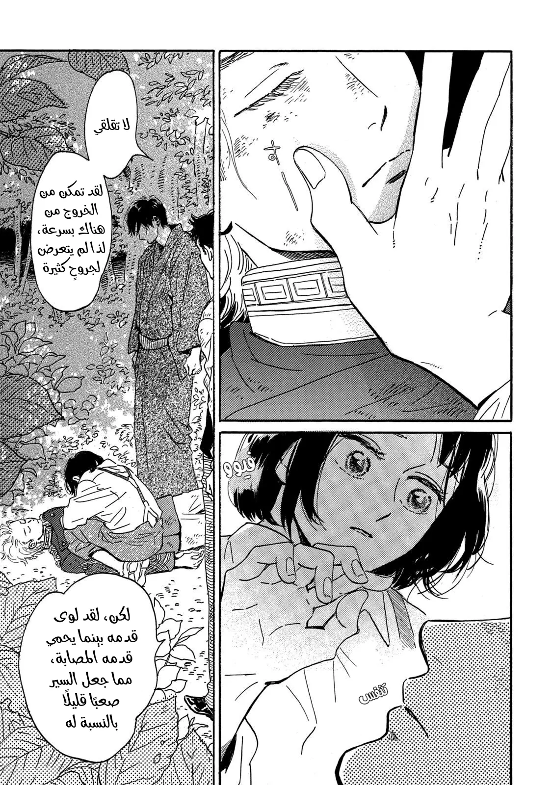 الصفحة 17