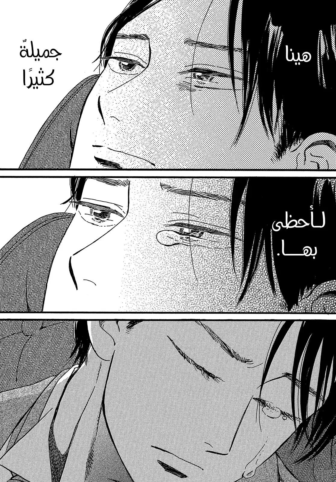 الصفحة 22