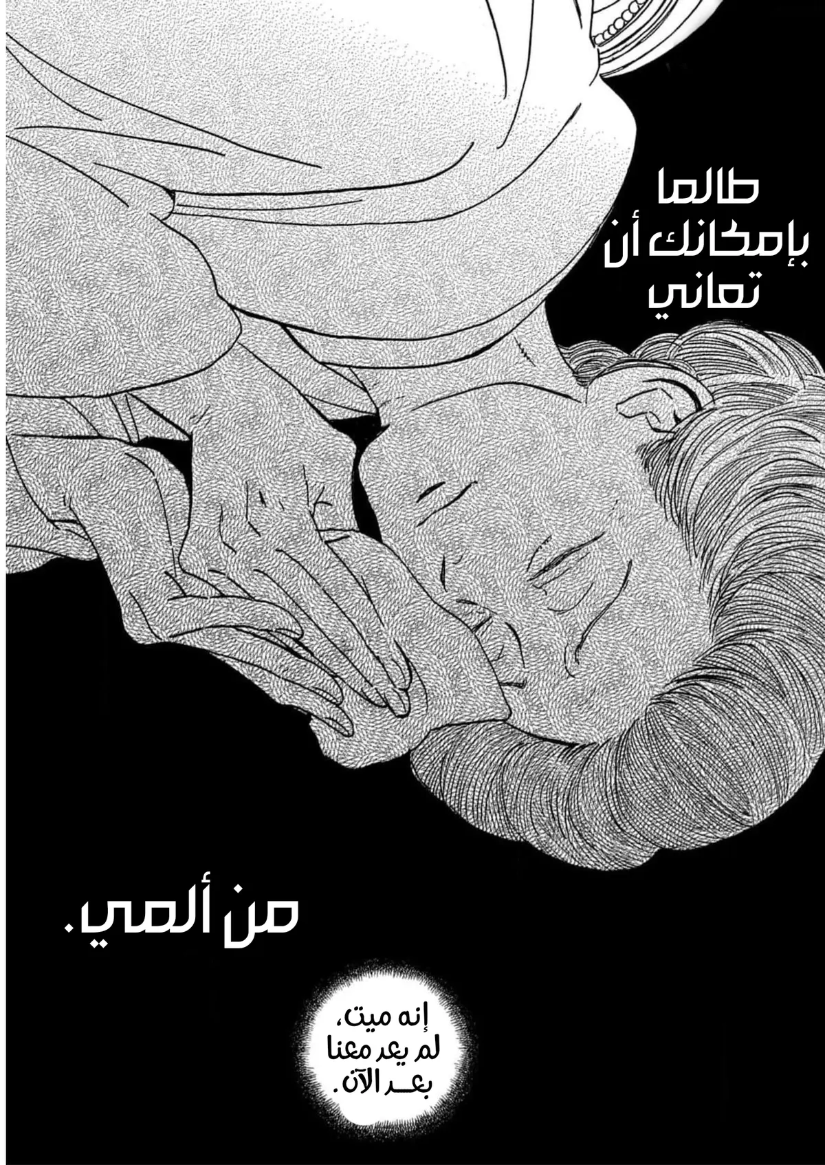الصفحة 21