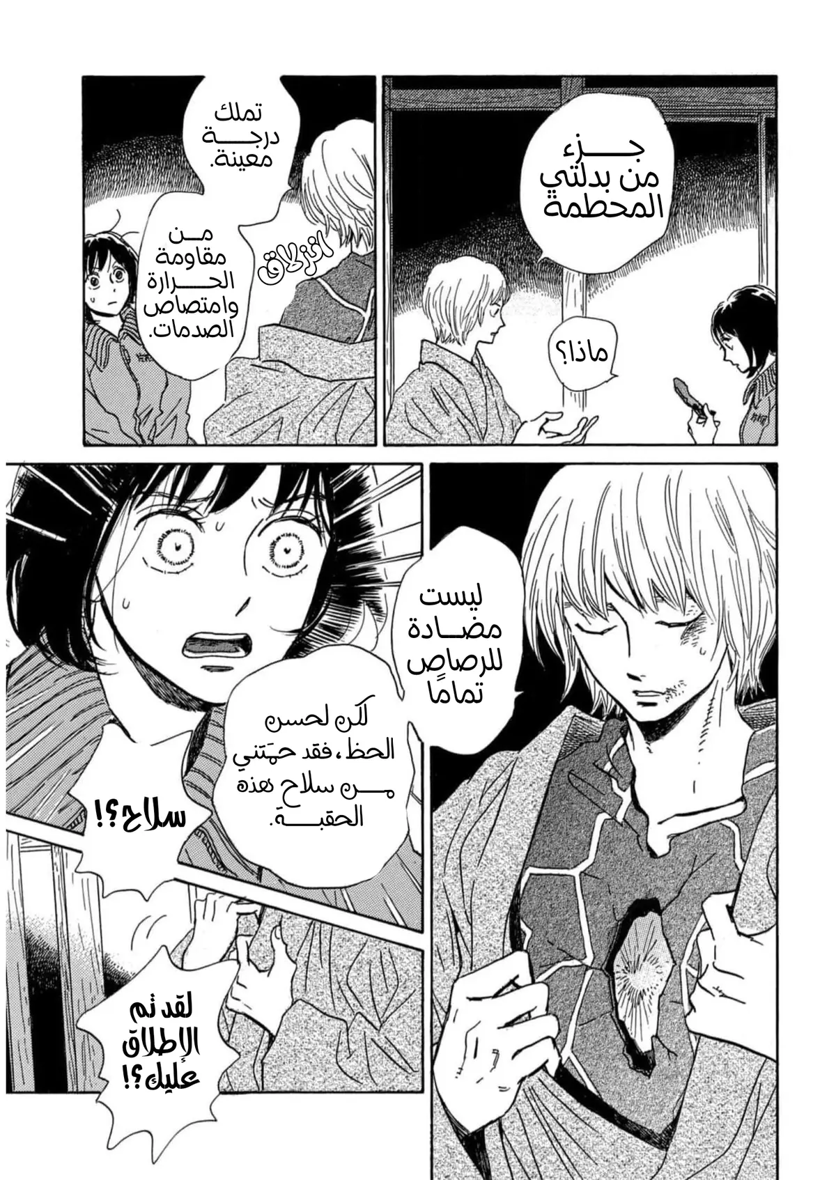 الصفحة 13