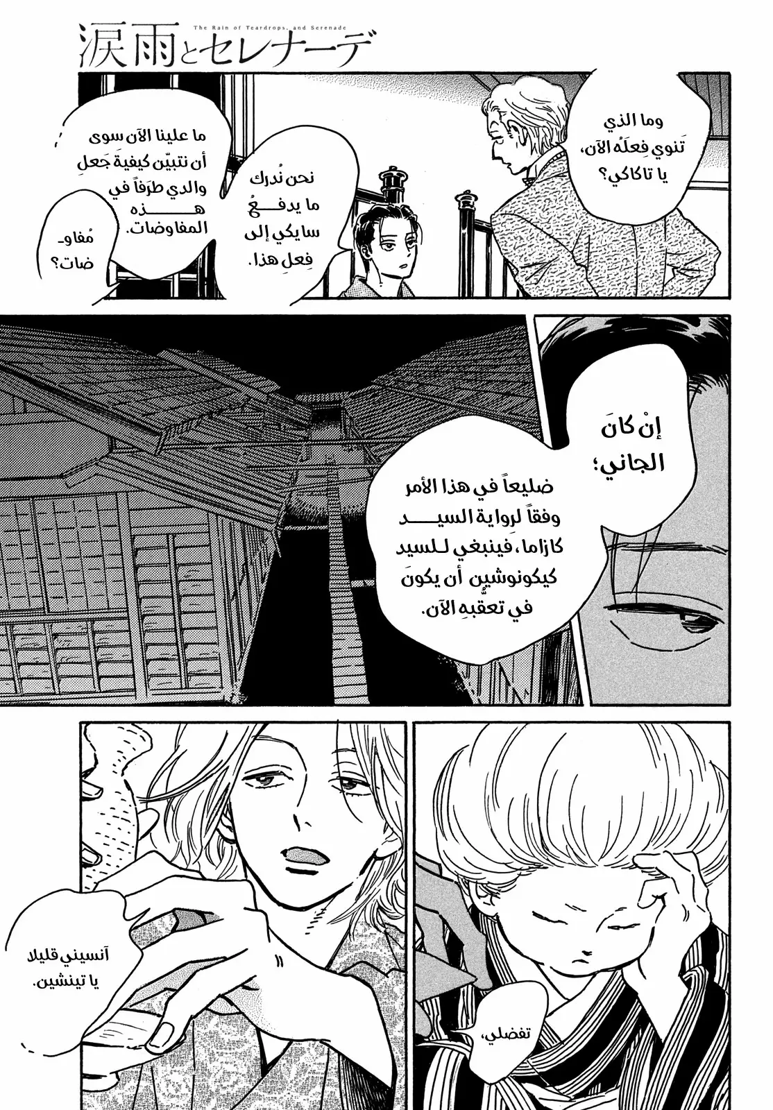 الصفحة 13
