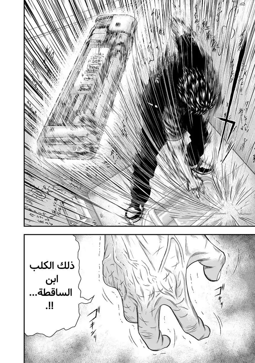 الصفحة 17