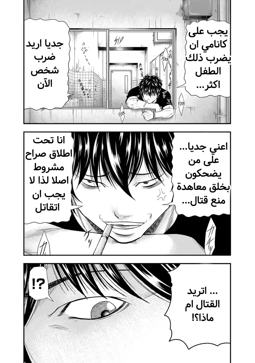 الصفحة 20