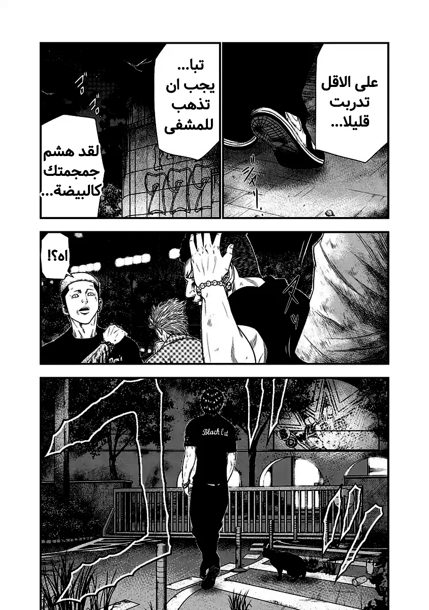 الصفحة 17