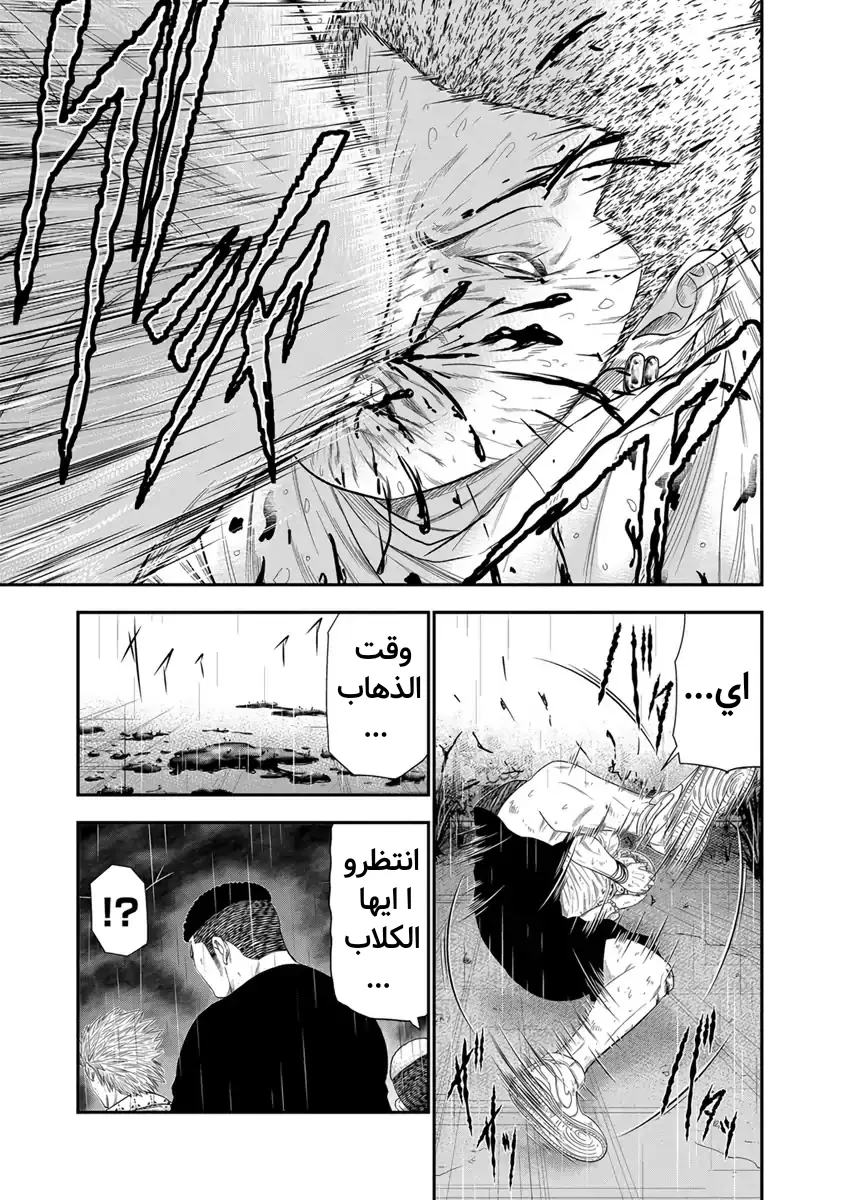 الصفحة 13