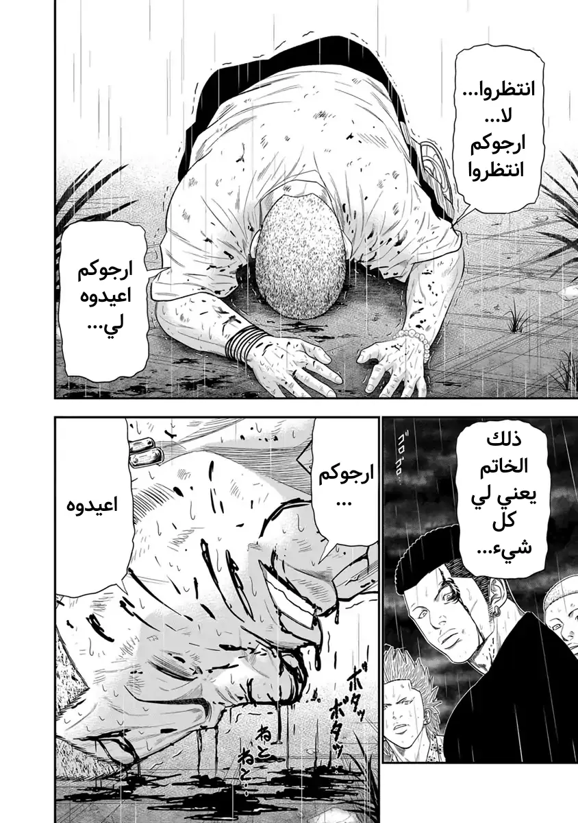 الصفحة 14