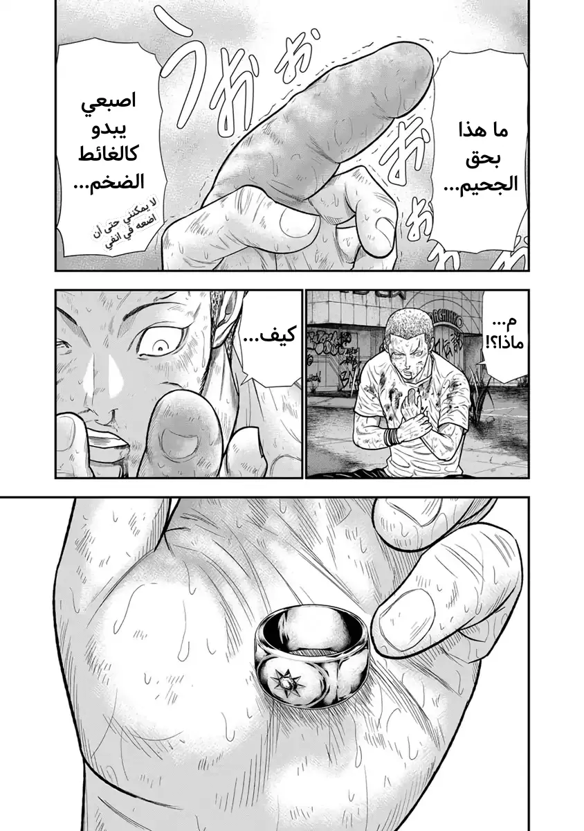 الصفحة 11