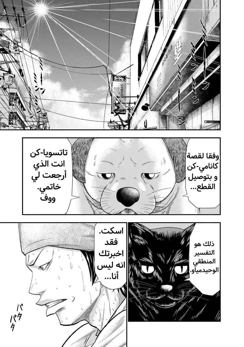الصفحة 19