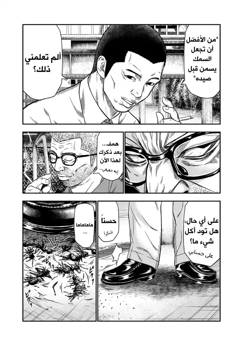 الصفحة 8