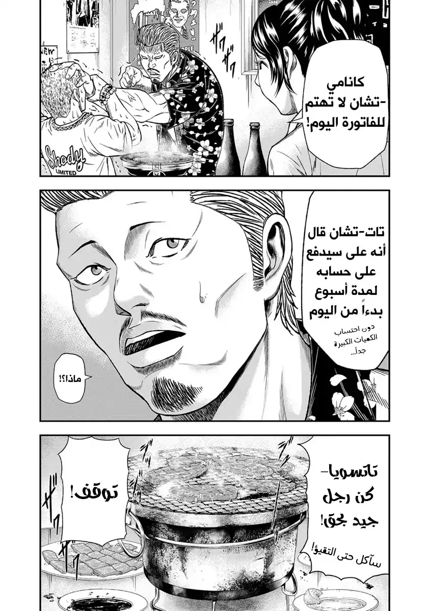 الصفحة 17