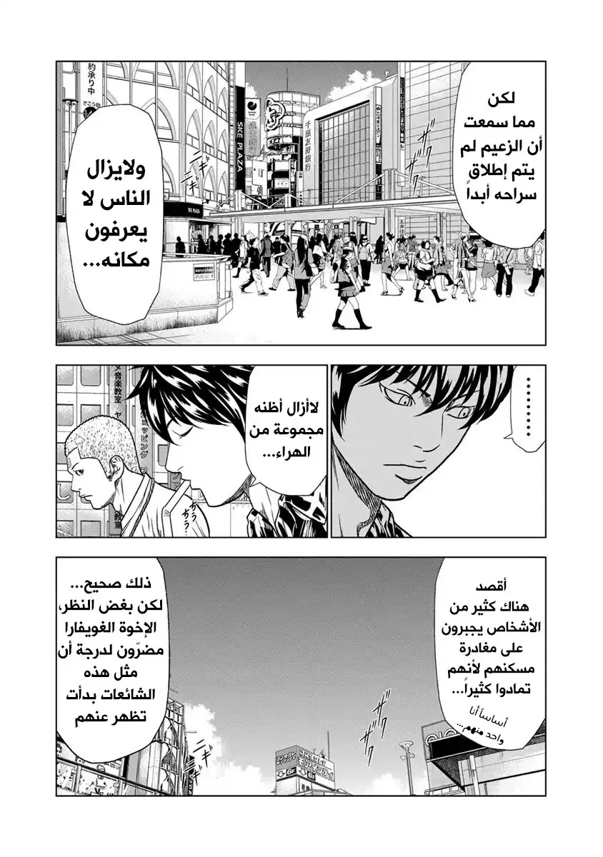 الصفحة 13