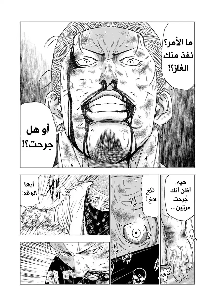 الصفحة 17