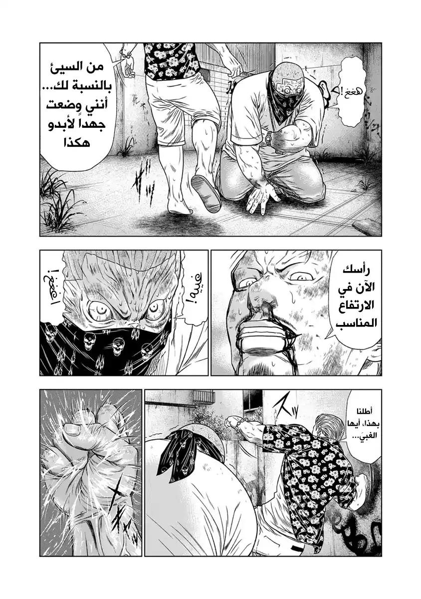 الصفحة 20