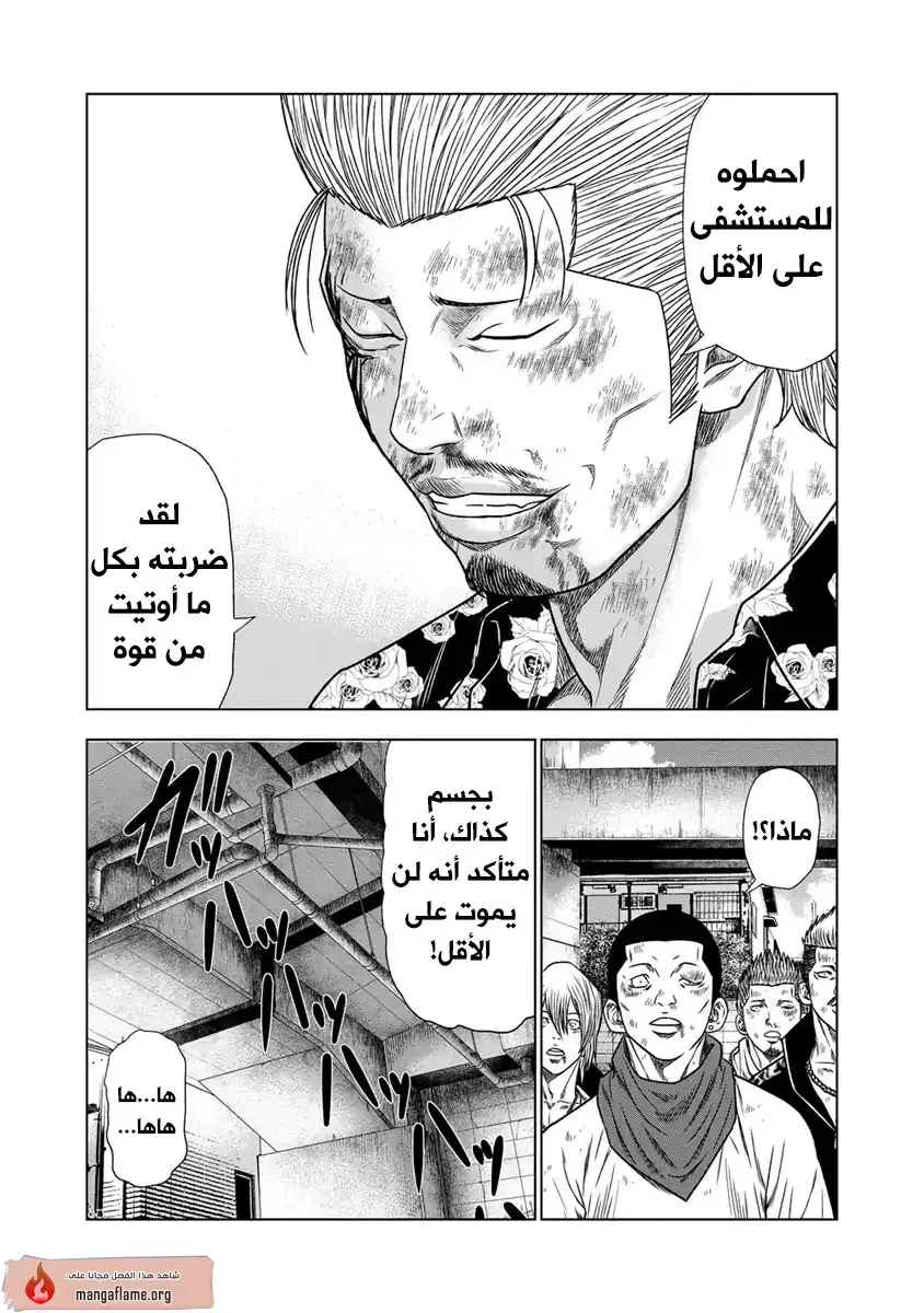 الصفحة 17