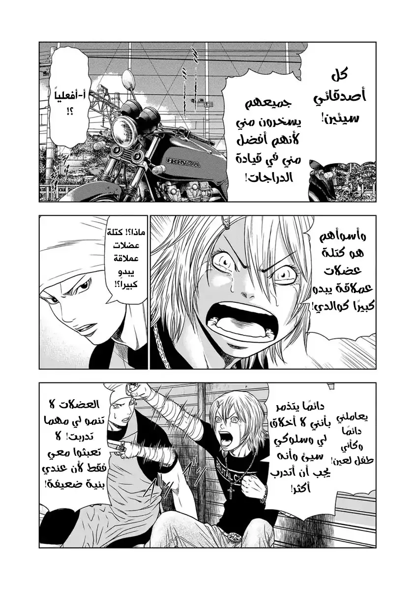 الصفحة 13