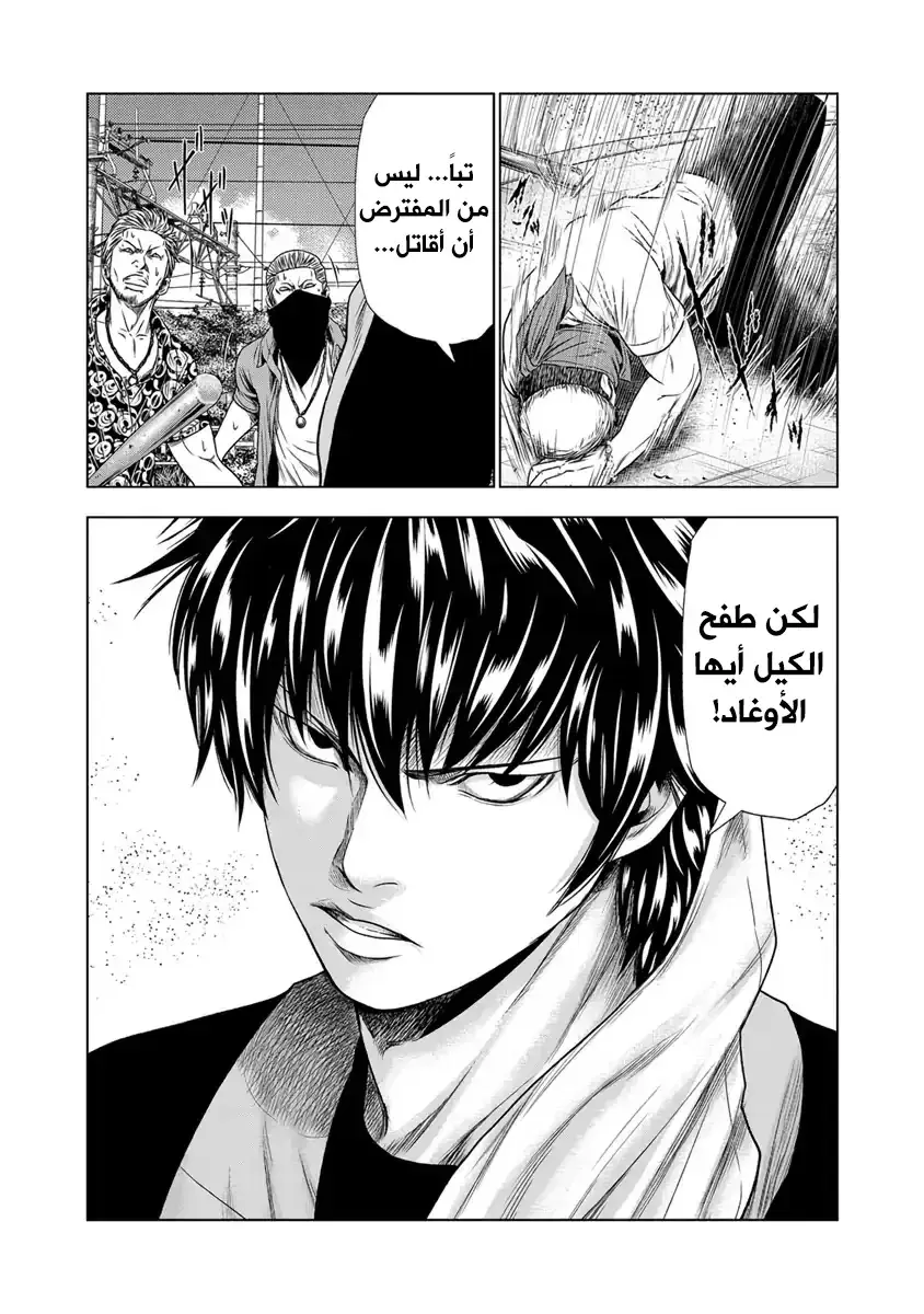 الصفحة 20