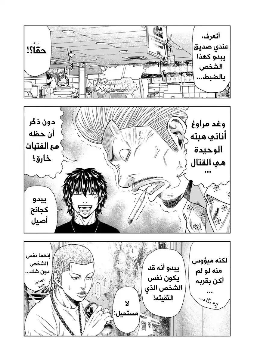 الصفحة 13