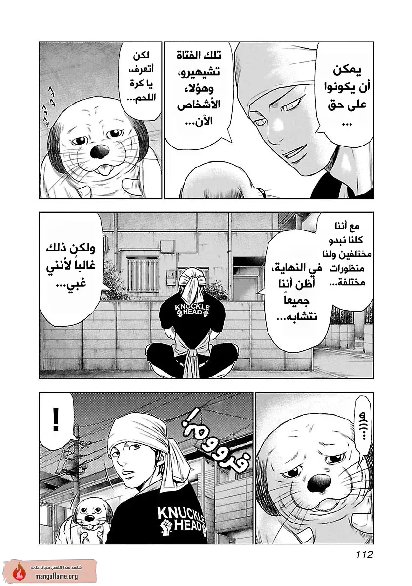 الصفحة 19
