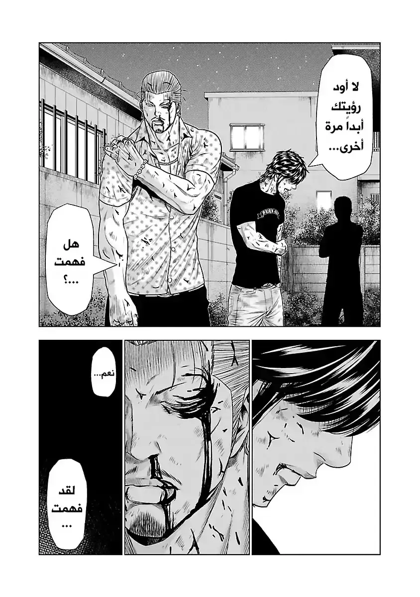 الصفحة 13